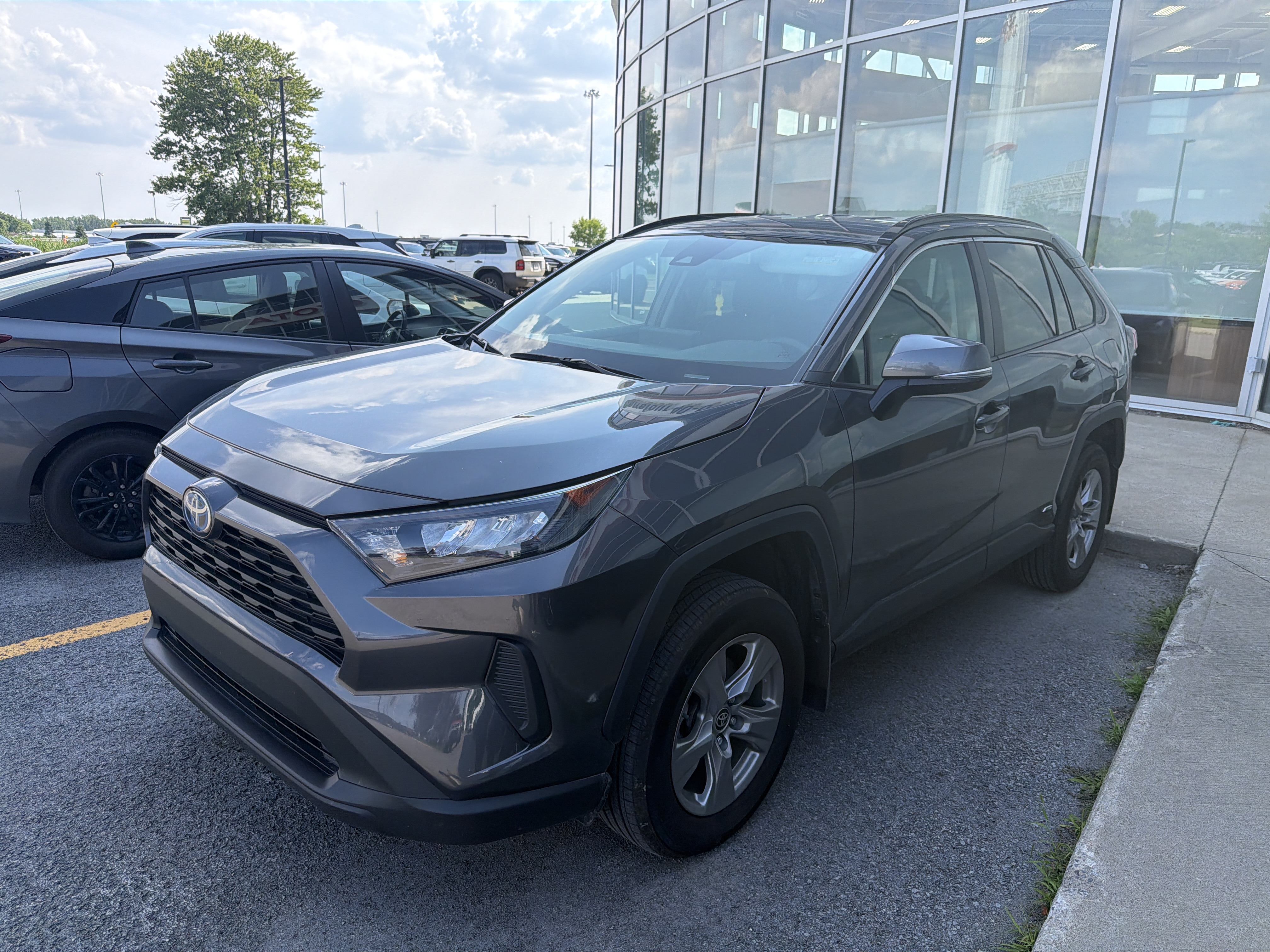 TOYOTA RAV4 2024