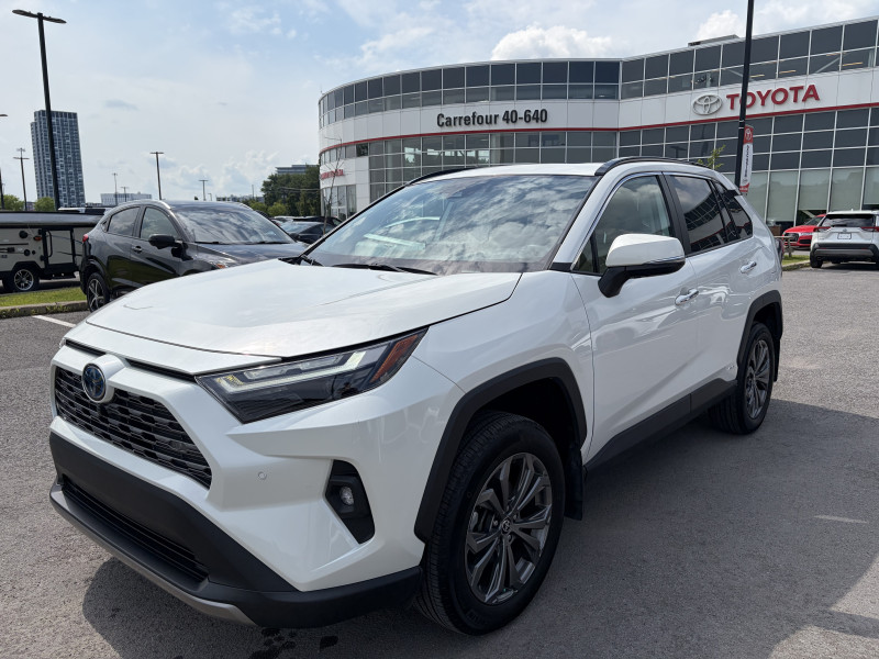 2022 TOYOTA RAV4