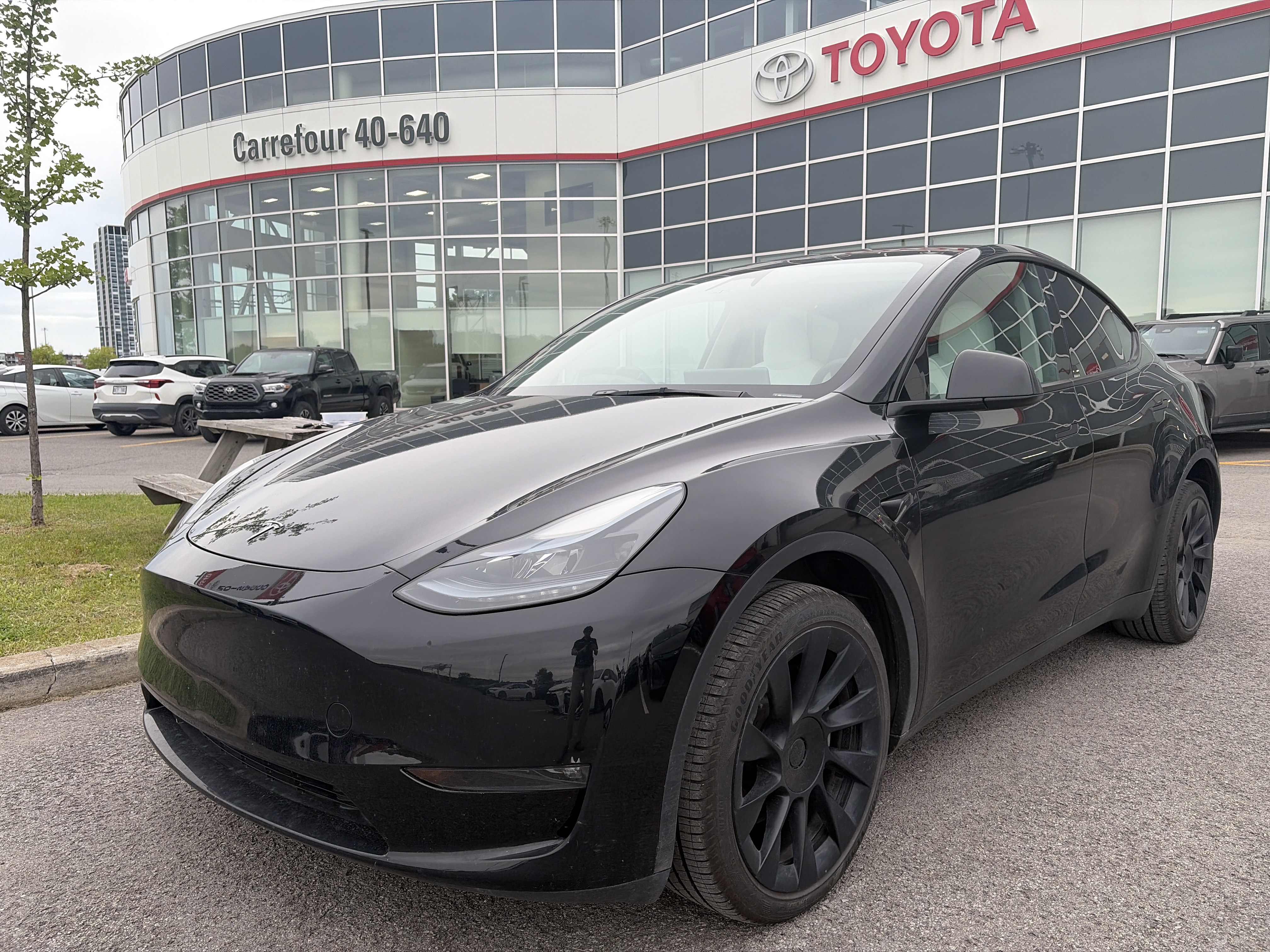2024 TESLA MODEL Y