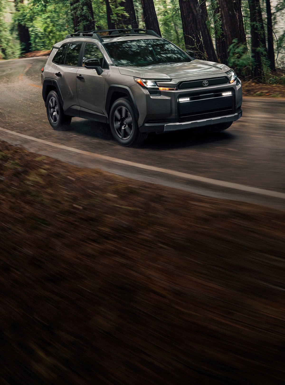 Toyota RAV4 Woodland — assistance routière